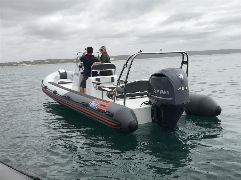 Diffusion Atlantique Marine Ayroles - Falcon